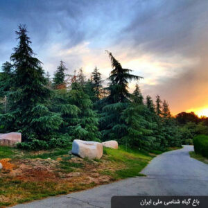 باغ گیاه‌شناسی ملی