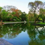 باغ گیاه‌شناسی ملی
